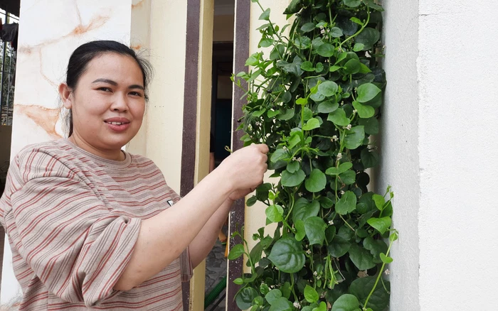 Biến vỏ dừa bỏ đi... thành tiền 