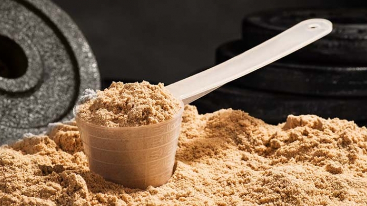 Bột Whey giới thể hình ưa chuộng chứa chất tăng cơ cho lợn bò