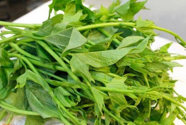 5 loại rau củ dễ trồng, không bị phun hóa chất, chị em cứ mua không cần phải suy nghĩ